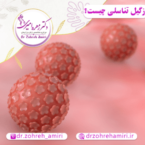 مقالات 3 زگیل تناسلی چیست؟