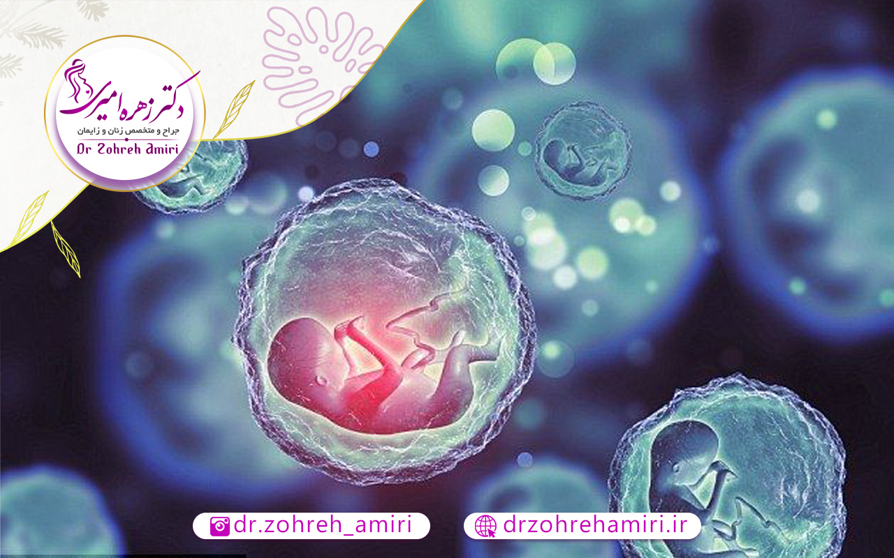 فرق بچه های آی وی اف با طبیعی چیست؟ 1 بررسی روند رشد جنین حاصل ivf و روش طبیعی