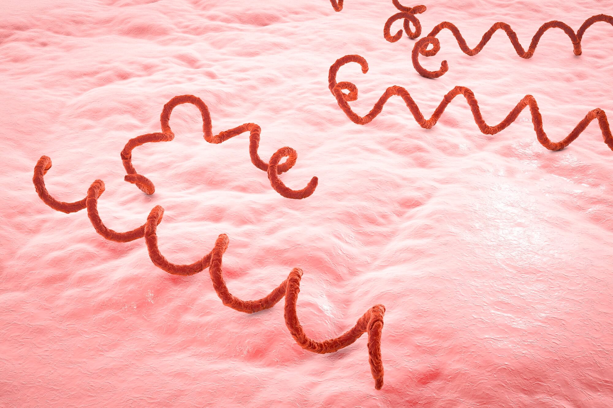 درمان بیماری مقاربتی سیفلیس 3 درمان بیماری سیفلیس