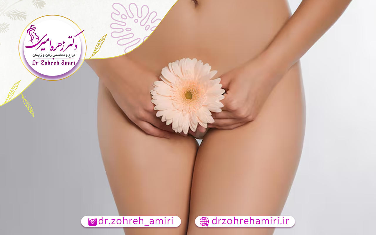 تزریق چربی به واژن 1 چه کسانی میتوانند تزریق چربی به واژن را انجام دهند؟